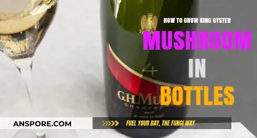 Mastering Bottle Cultivation: Growing King Oyster Mushrooms at Home