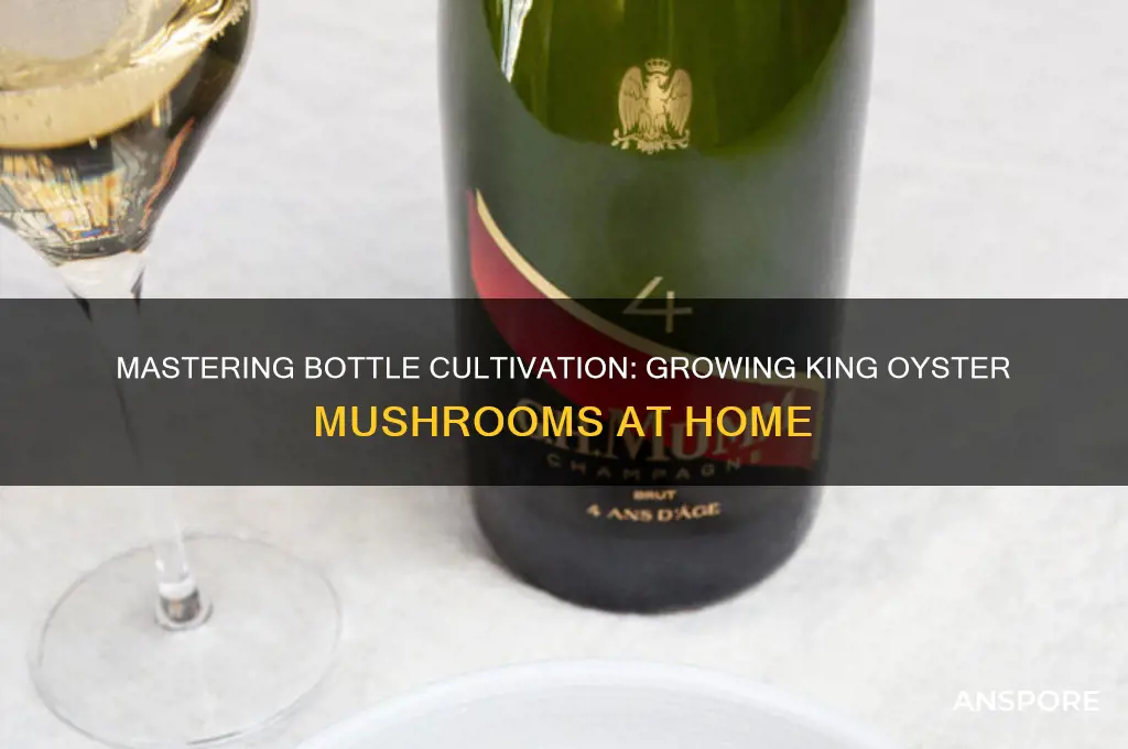 how to grow king oyster mushrooms in bottles