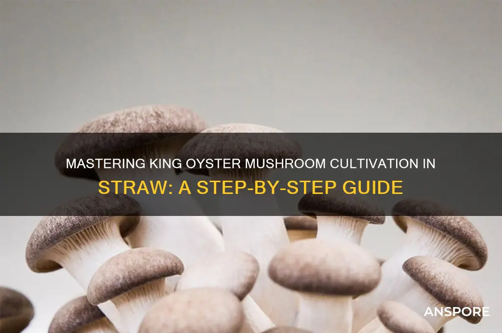 how to grow king oyster mushrooms in straw