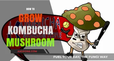 Mastering Kombucha Mushroom Cultivation: Simple Steps for Successful Growth