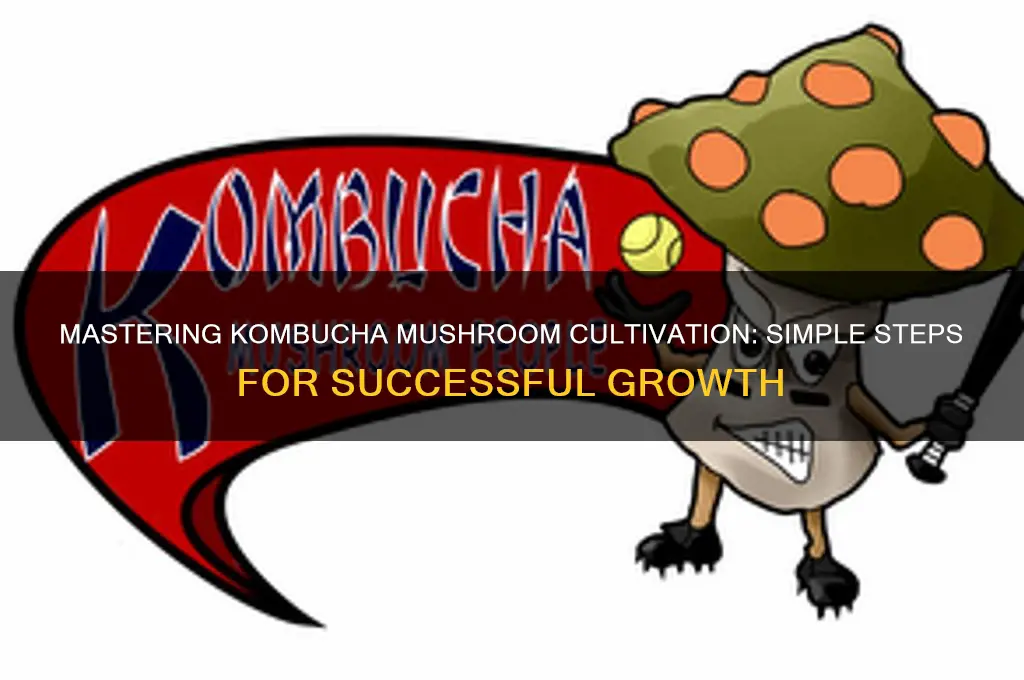 how to grow kombucha mushroom