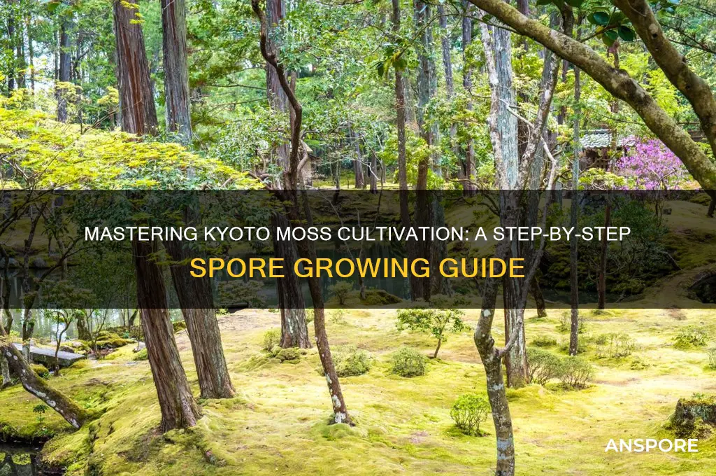 how to grow kyoto moss spores