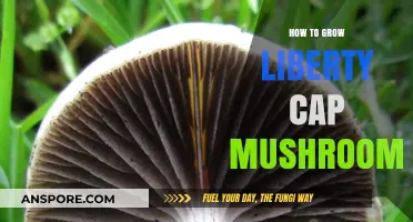 Mastering Liberty Cap Mushroom Cultivation: A Comprehensive Growing Guide