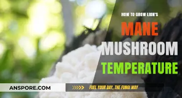 Optimal Temperature Guide for Growing Lion's Mane Mushrooms at Home