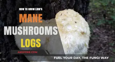 Mastering Lion's Mane Mushroom Cultivation on Logs: A Step-by-Step Guide