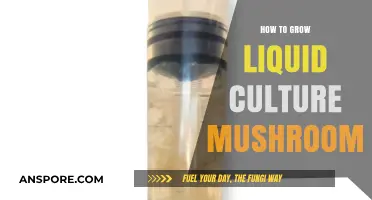 Mastering Liquid Culture: A Guide to Growing Mushrooms at Home