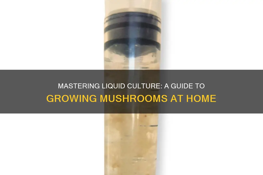 how to grow liquid culture mushrooms
