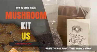 Grow Your Own Magic Mushrooms: A US Beginner's Guide