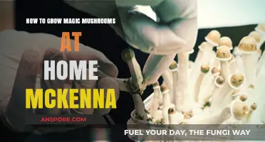 Cultivating Magic Mushrooms at Home: A McKenna-Inspired Guide