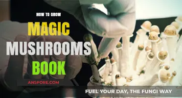 Cultivating Psilocybin: A Comprehensive Guide to Growing Magic Mushrooms