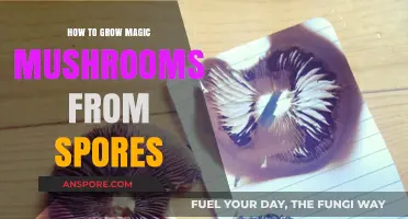 Cultivating Magic Mushrooms: A Step-by-Step Guide to Growing from Spores