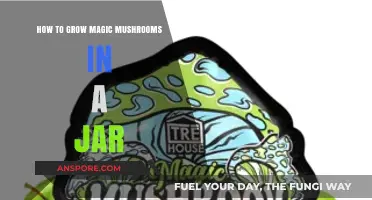 Mastering Mushroom Cultivation: A Step-by-Step Guide to Growing Magic Mushrooms in Jars