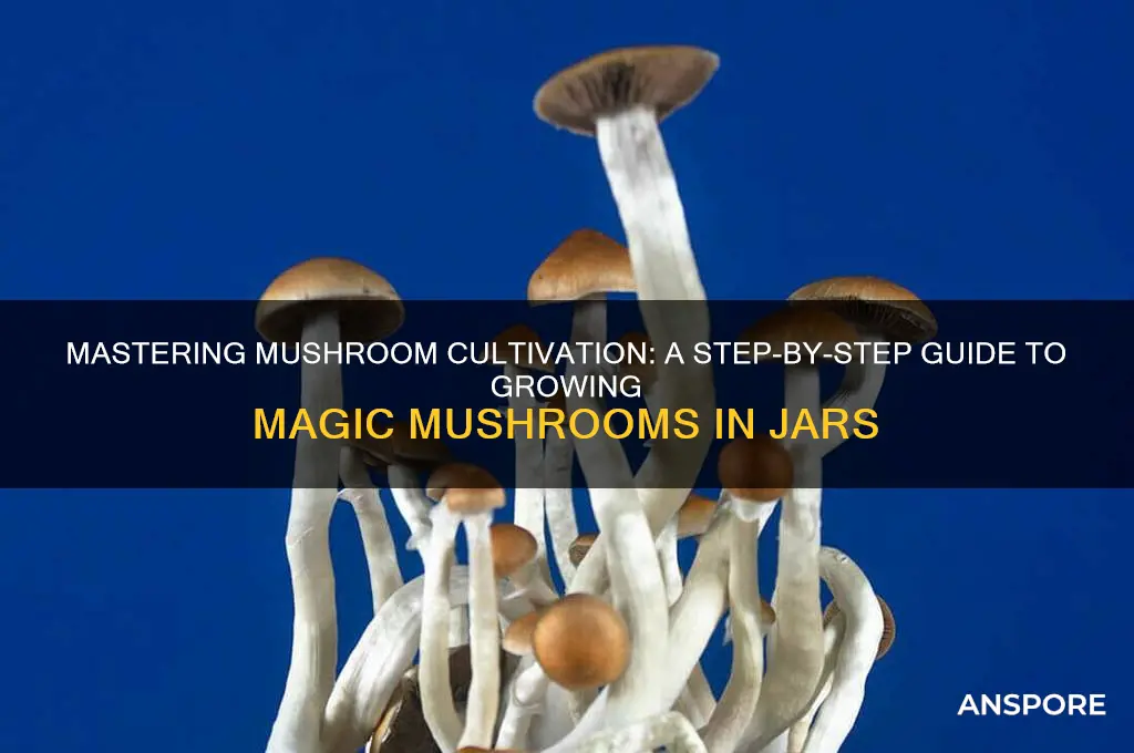 how to grow magic mushrooms in a jar