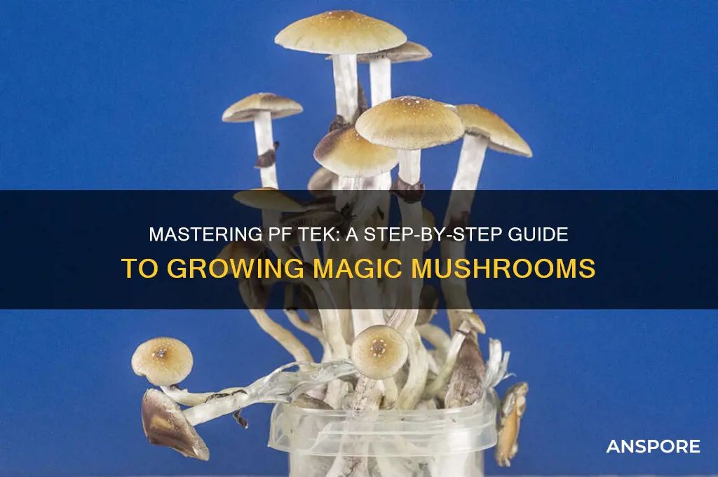 how to grow magic mushrooms pf tek