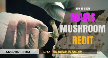 Growing Magic Mushrooms: Reddit's Top Tips for Successful Cultivation