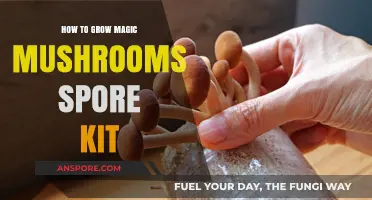 Mastering Magic Mushroom Cultivation: A Guide to Growing Spore Kits