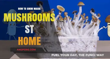 Cultivating Magic Mushrooms at Home: A Beginner's Step-by-Step Guide