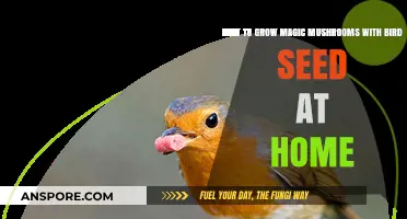 Growing Magic Mushrooms at Home: A Bird Seed Cultivation Guide