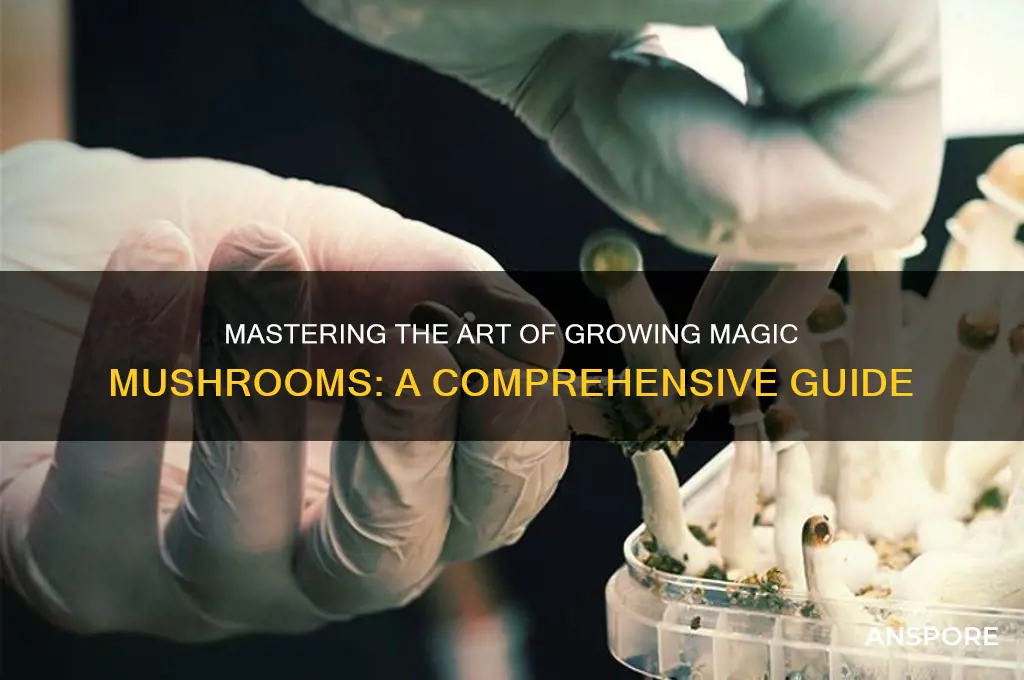 how to grow mahic mushrooms