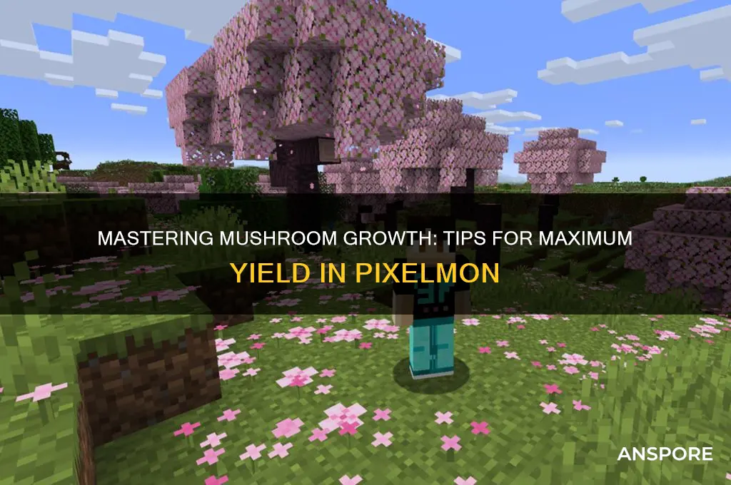 how to grow max mushrooms pixelmon