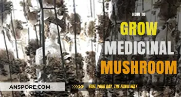 Cultivating Healing Fungi: A Guide to Growing Medicinal Mushrooms at Home