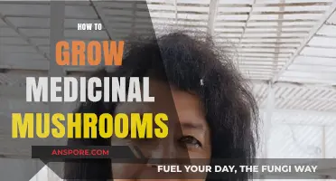 Cultivating Healing Fungi: A Guide to Growing Medicinal Mushrooms