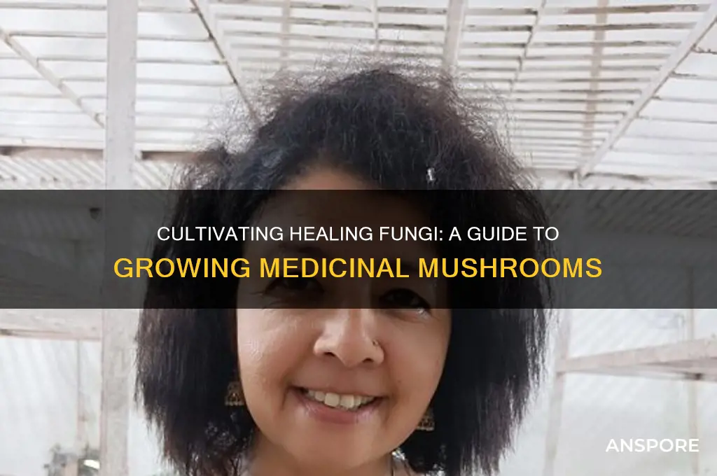how to grow medicinal mushrooms