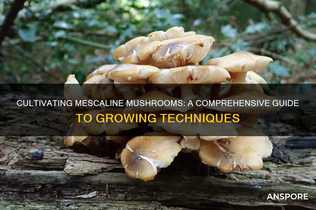 how to grow mescaline mushrooms