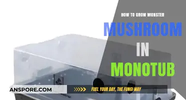 Mastering Monotub Techniques for Growing Giant Monster Mushrooms