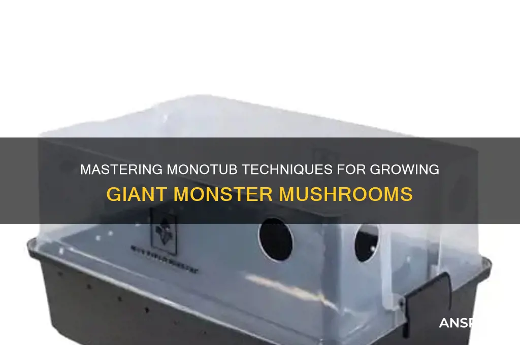 how to grow monster mushrooms in monotub