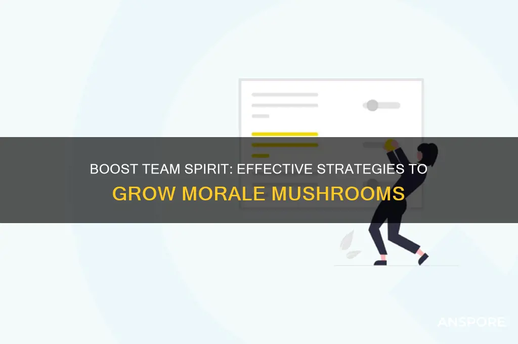 how to grow morale mushrooms
