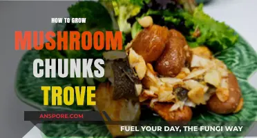 Mastering Mushroom Chunks Trove: A Comprehensive Growth Guide