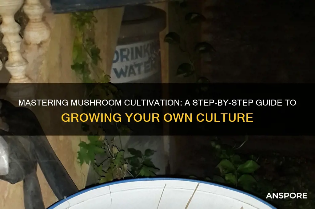 how to grow mushroom culture