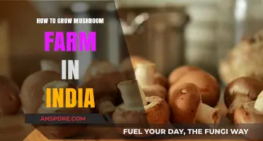 Growing Mushrooms in India: A Step-by-Step Farming Guide