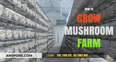 Mastering Mushroom Farming: A Step-by-Step Guide to Growing Your Own