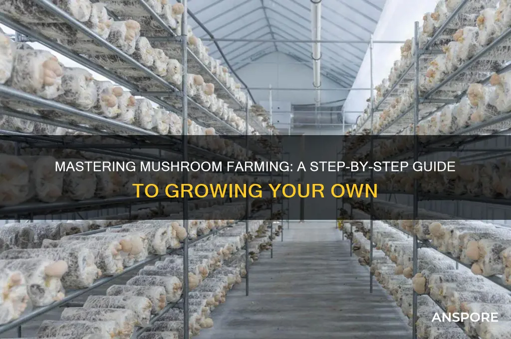 how to grow mushroom farm