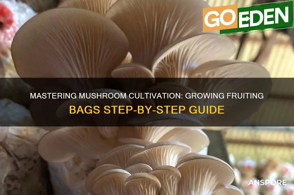how to grow mushroom fruiting bag