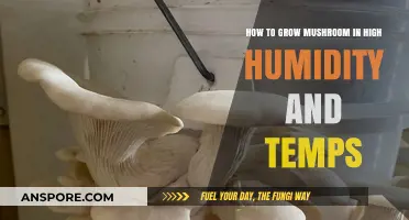Mastering Mushroom Cultivation in High Humidity and Temperature Conditions