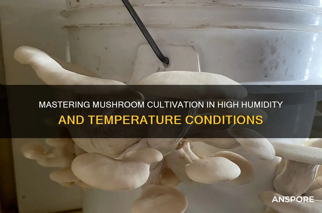 how to grow mushroom in high humidity and temps