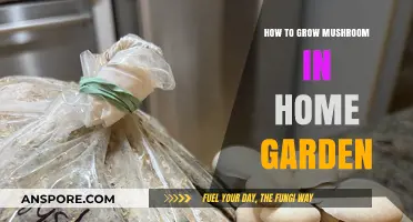 Easy Steps to Grow Mushrooms in Your Home Garden