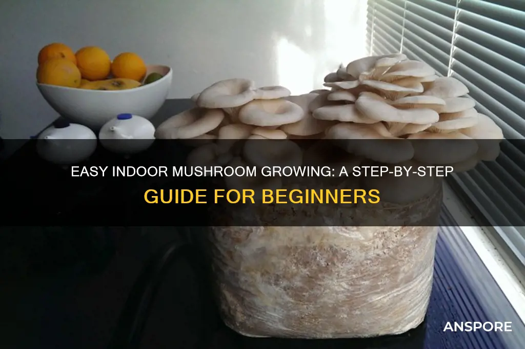 how to grow mushroom in house