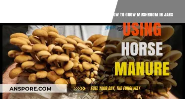 Growing Mushrooms in Jars with Horse Manure: A Step-by-Step Guide