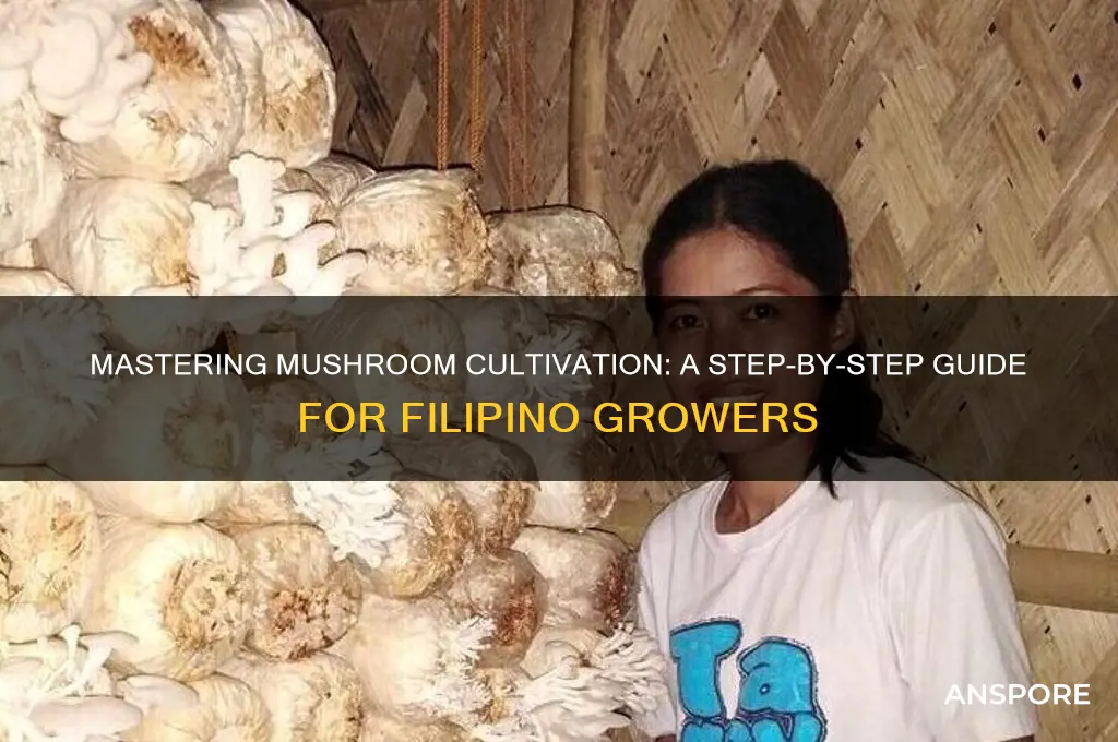 how to grow mushroom in the philippines