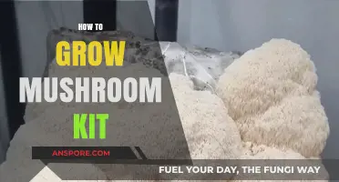 Mastering Mushroom Cultivation: A Beginner's Guide to Growing Kits