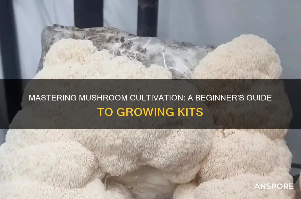 how to grow mushroom kit