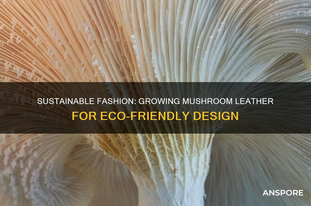 how to grow mushroom leather