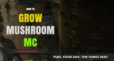 Mastering Mushroom Cultivation: A Step-by-Step Guide to Growing MC