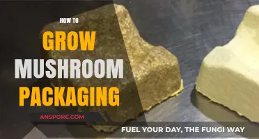 Eco-Friendly Mushroom Packaging: A Step-by-Step Growing Guide