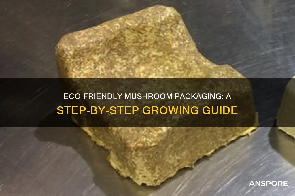 how to grow mushroom packaging