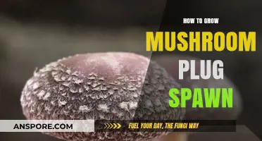 Mastering Mushroom Cultivation: A Guide to Growing Plug Spawn